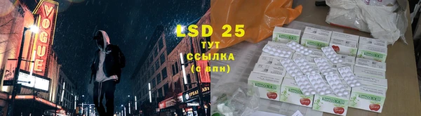 ГАЛЛЮЦИНОГЕННЫЕ ГРИБЫ Алексеевка