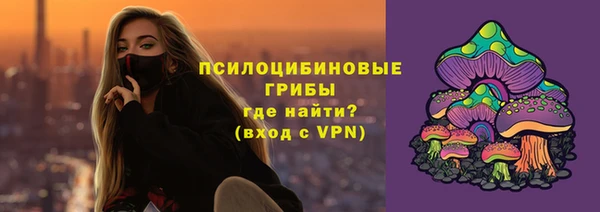 твердый Алзамай