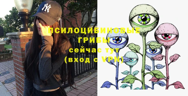скорость Алексин