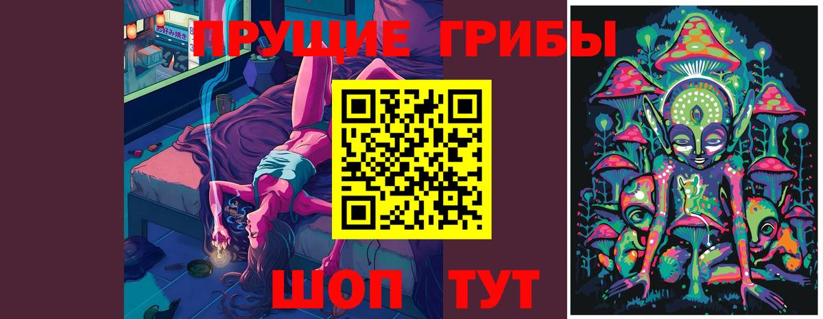Глазов  Галлюциногенные грибы мицелий  Вход с VPN 